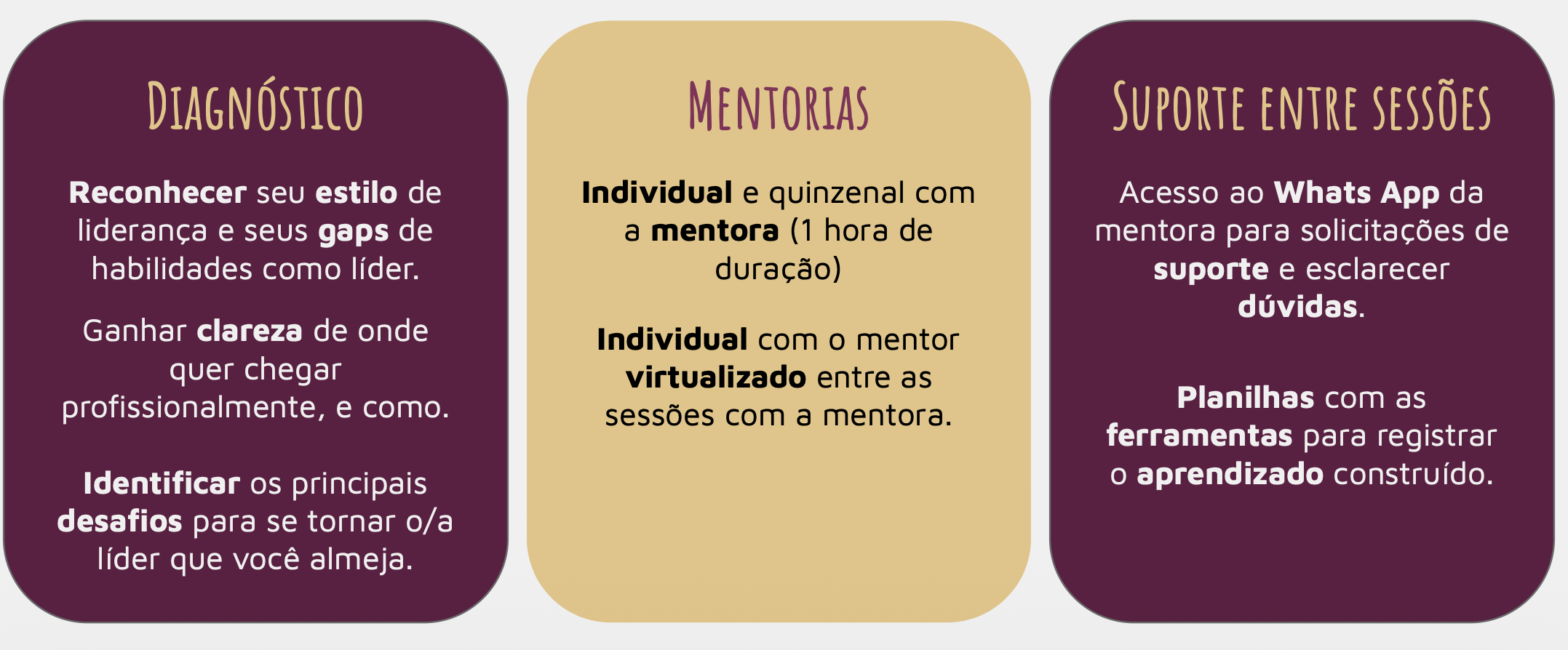 Como a Mentoria Liderança Áurea funciona